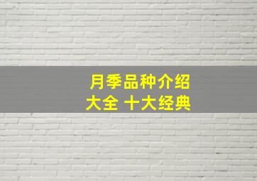 月季品种介绍大全 十大经典